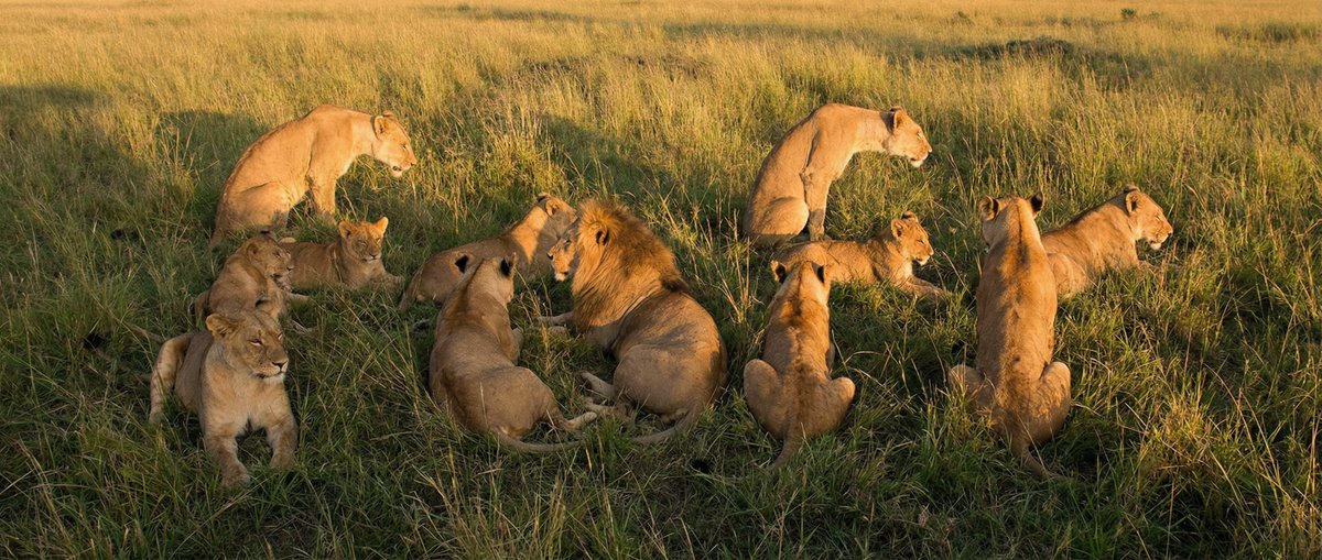 制作一张隐藏单词的照片
